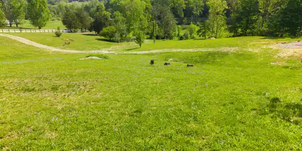 Image 2: 72 Acres Photo-3