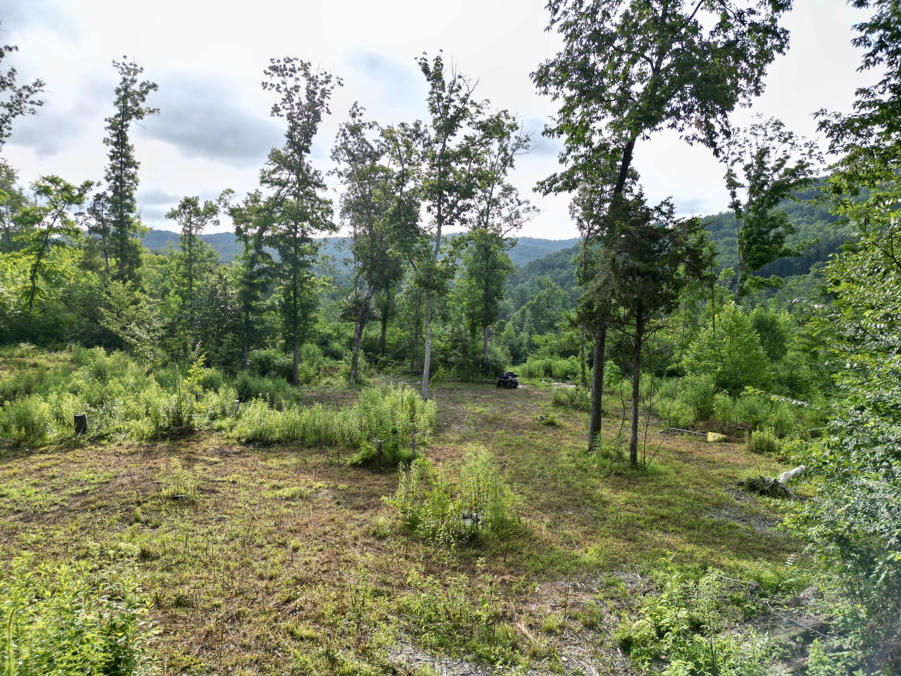 Image 2: dji_fly_20260715_025736_642_178429292826