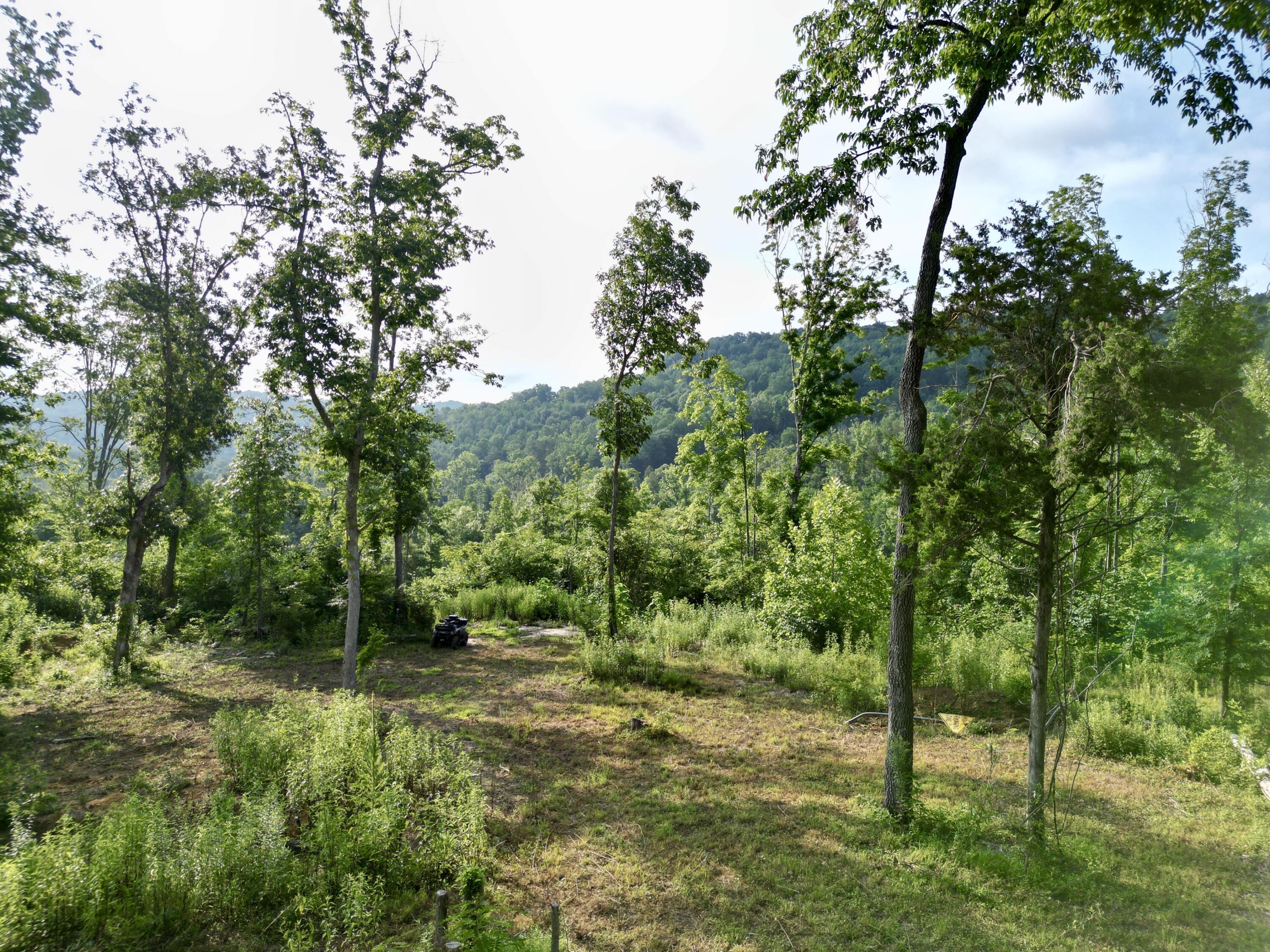 Image 3: dji_fly_20260715_030100_645_178429292737