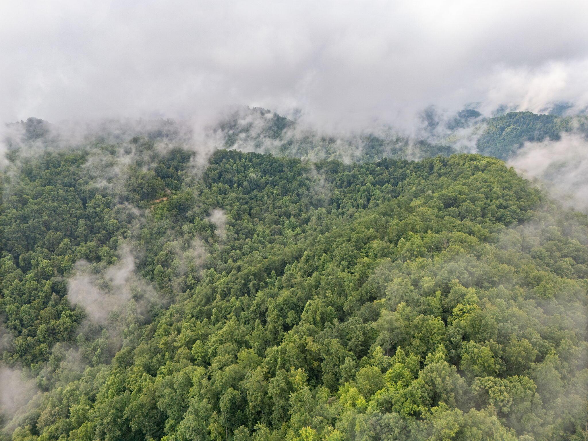 Image 2: 4-web-or-mls-DJI_20250722091217_0016_D