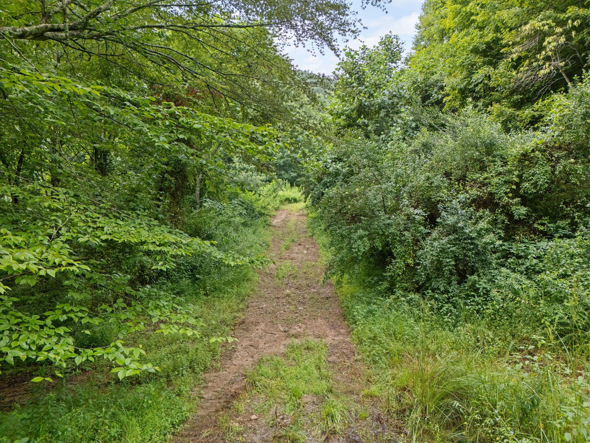 Image 3: 7-web-or-mls-DJI_20250722091912_0025_D