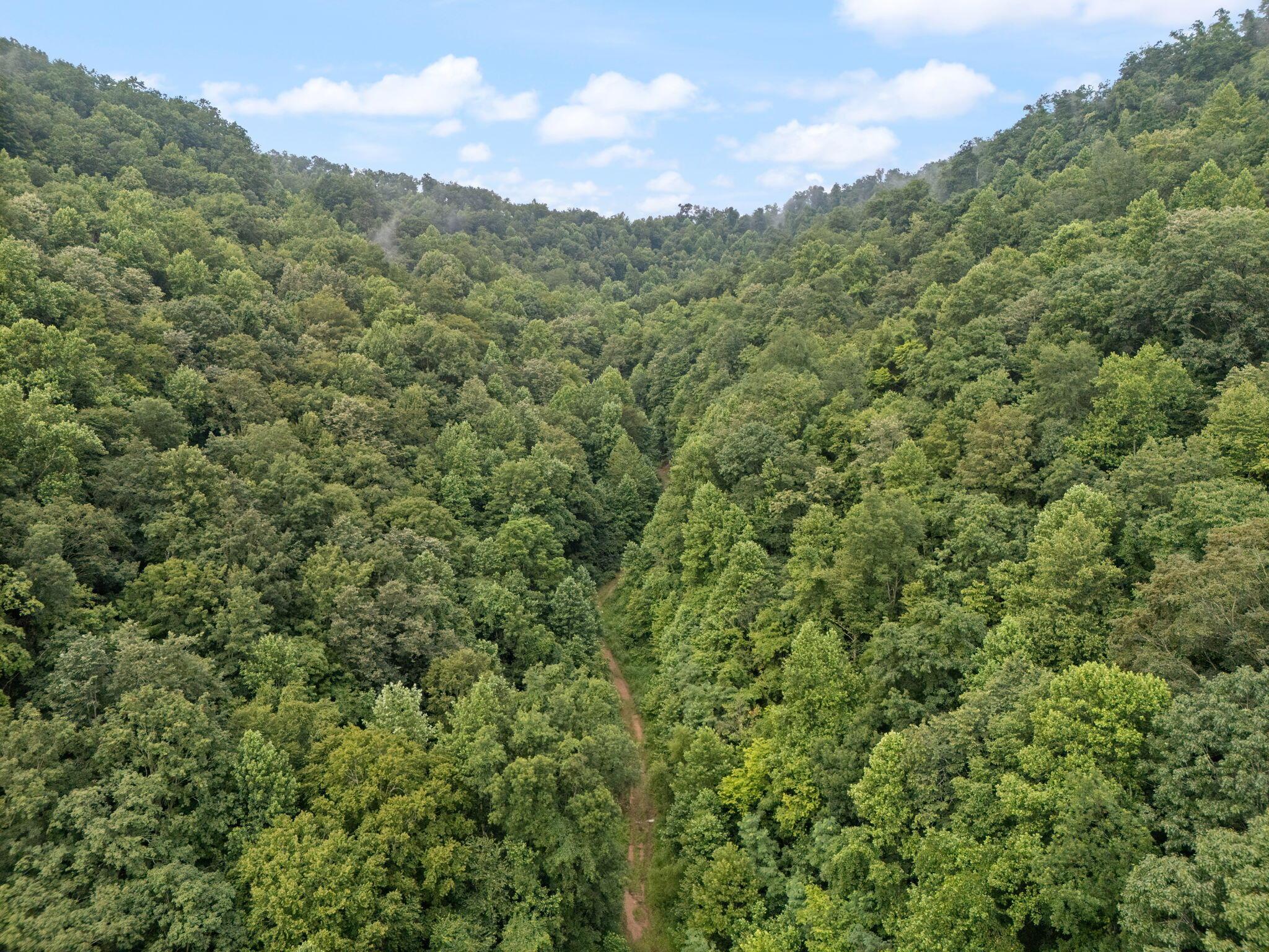 Image 4: 8-web-or-mls-DJI_20250722092201_0031_D