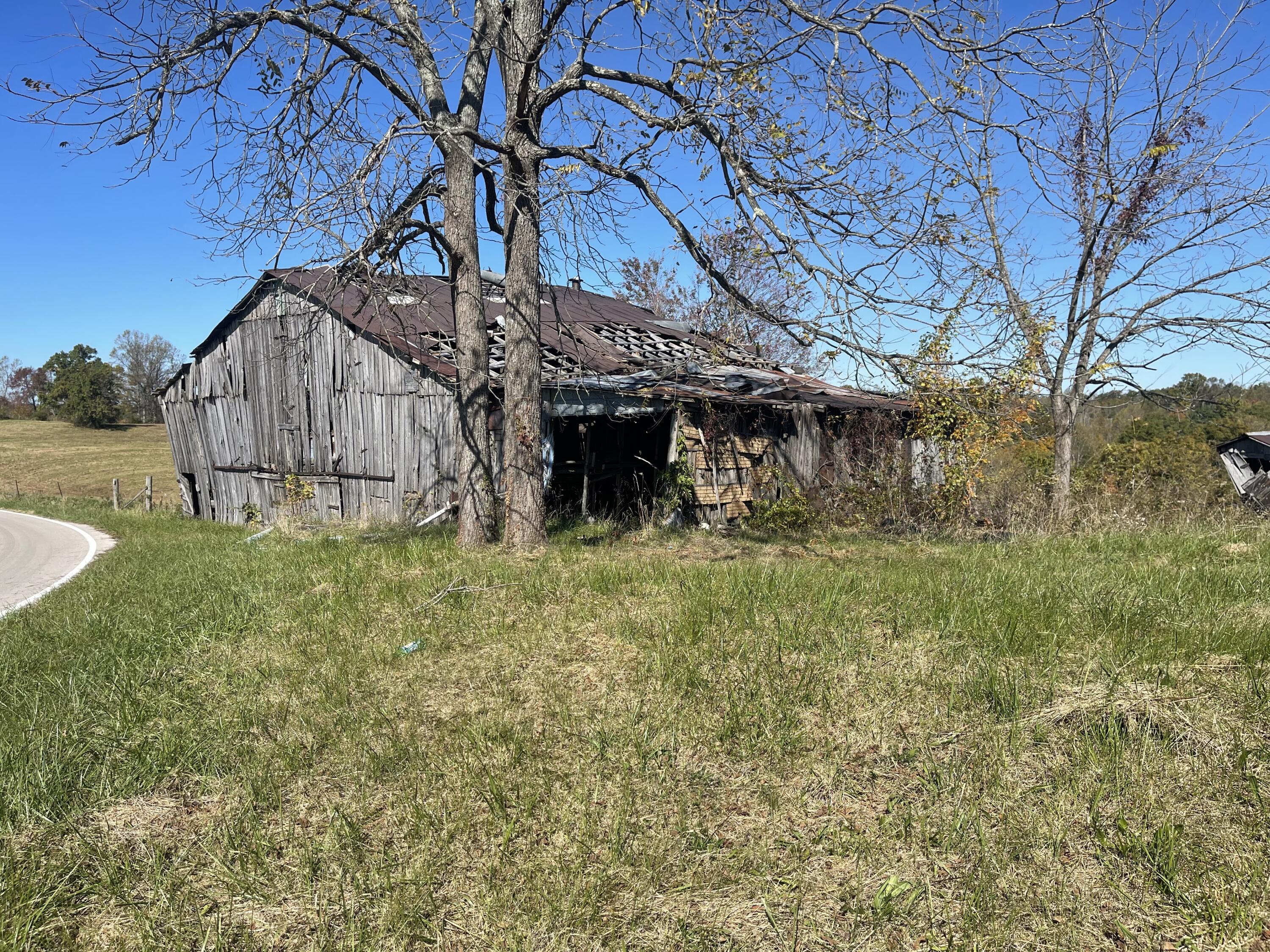 Image 2: IMG_3874