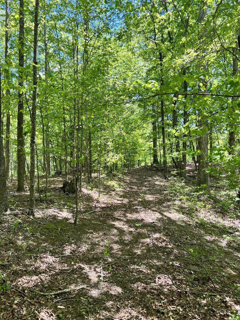 Image 2: 20230630173019122022000000-o