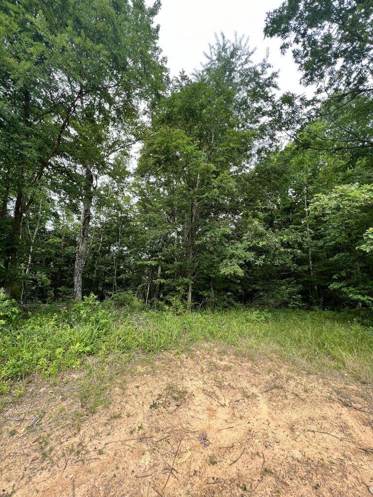 Image 3: 20230630171544709188000000-o