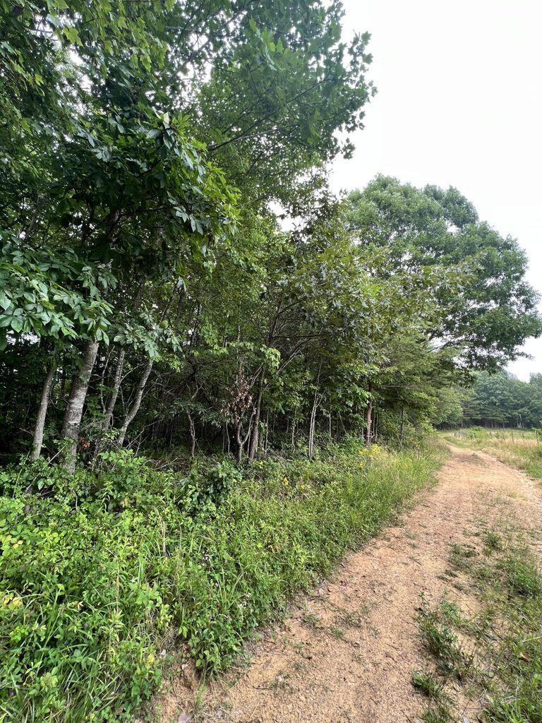 Image 4: 20230630171546429854000000-o