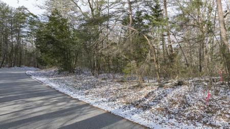 2 Pine Tree Road