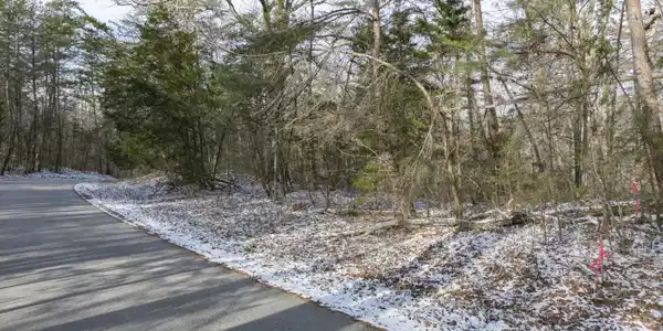 2 Pine Tree Road