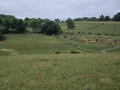 4430 State Hwy 1194