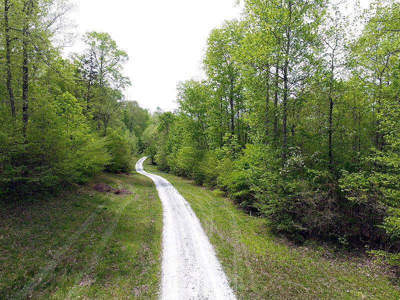 Image 2: DJI_0008001