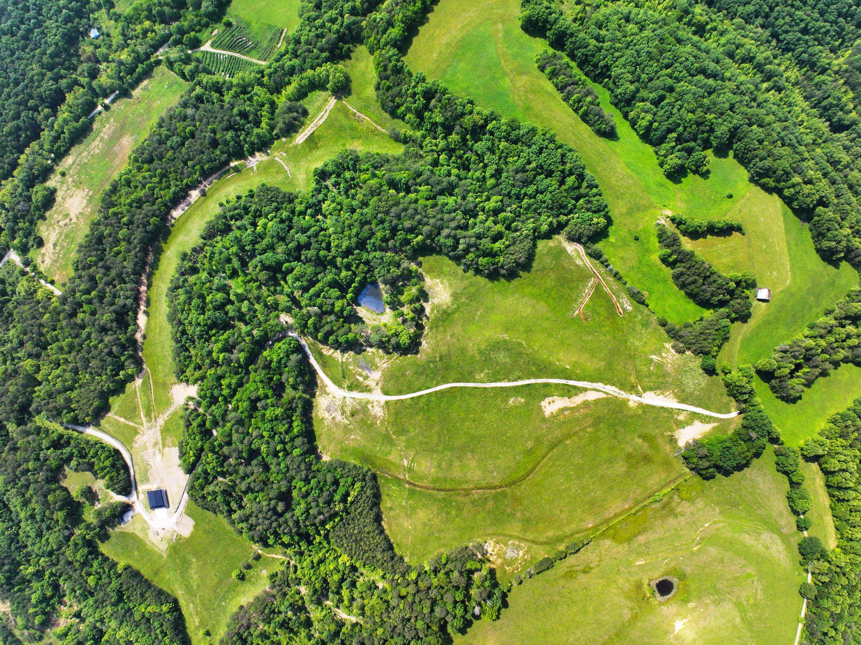 Image 3: 85 Beautiful Kentucky Acres!