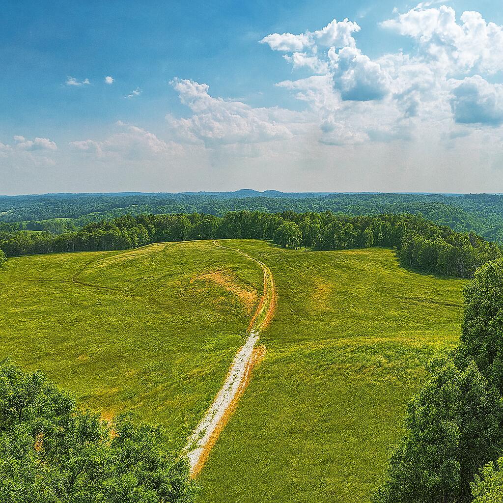 Image 4: Two entrances!