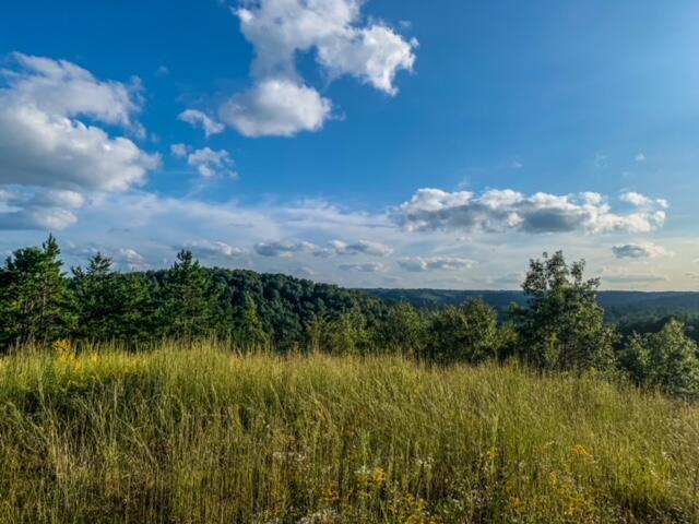 Image 3: 0070F4B7-6B5E-4EBB-9C52-6EEA9F59689A