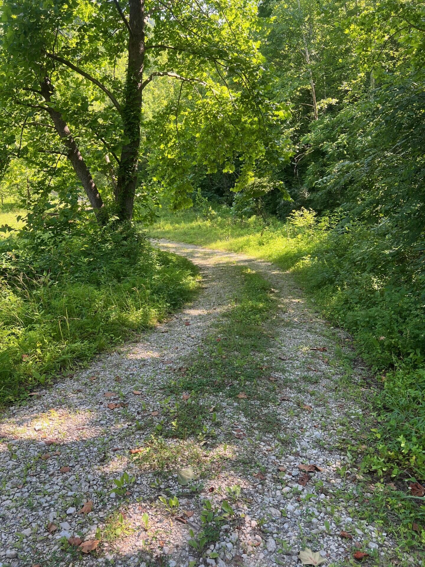 Image 1: thumbnail_IMG_9056