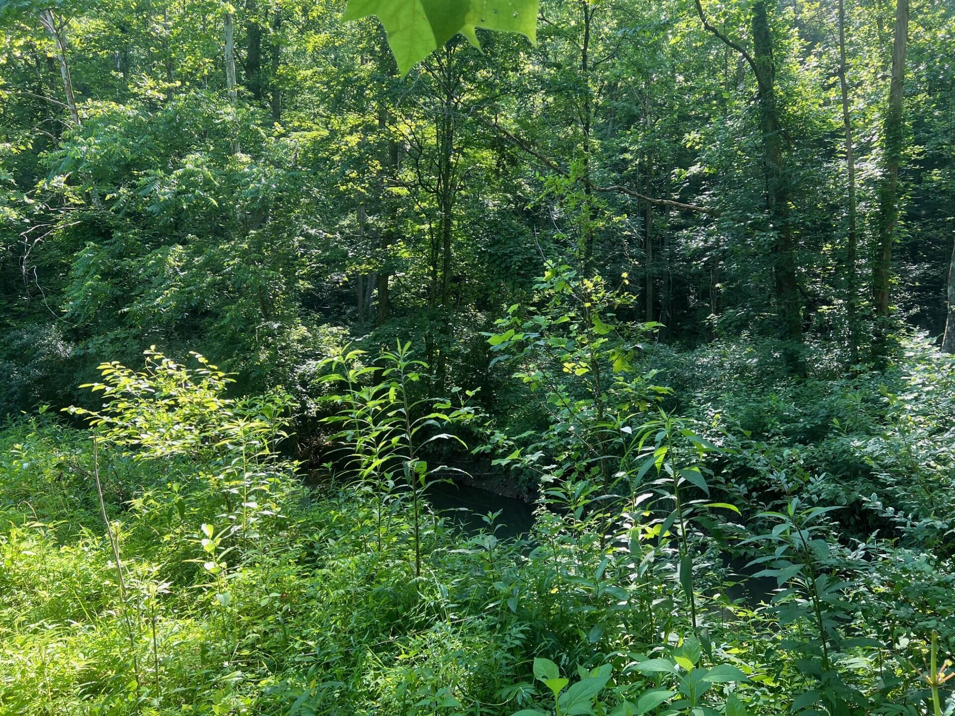 Image 2: thumbnail_IMG_9057