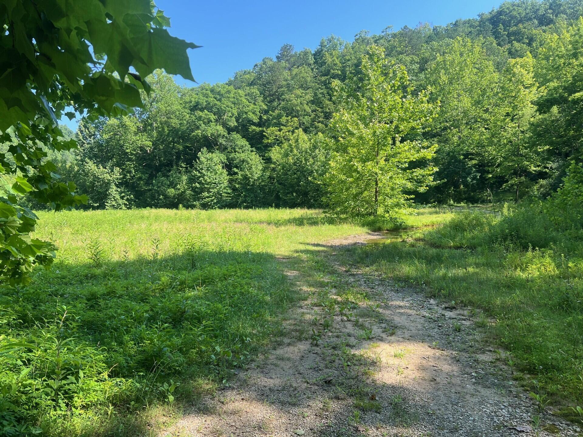 Image 3: thumbnail_IMG_9058