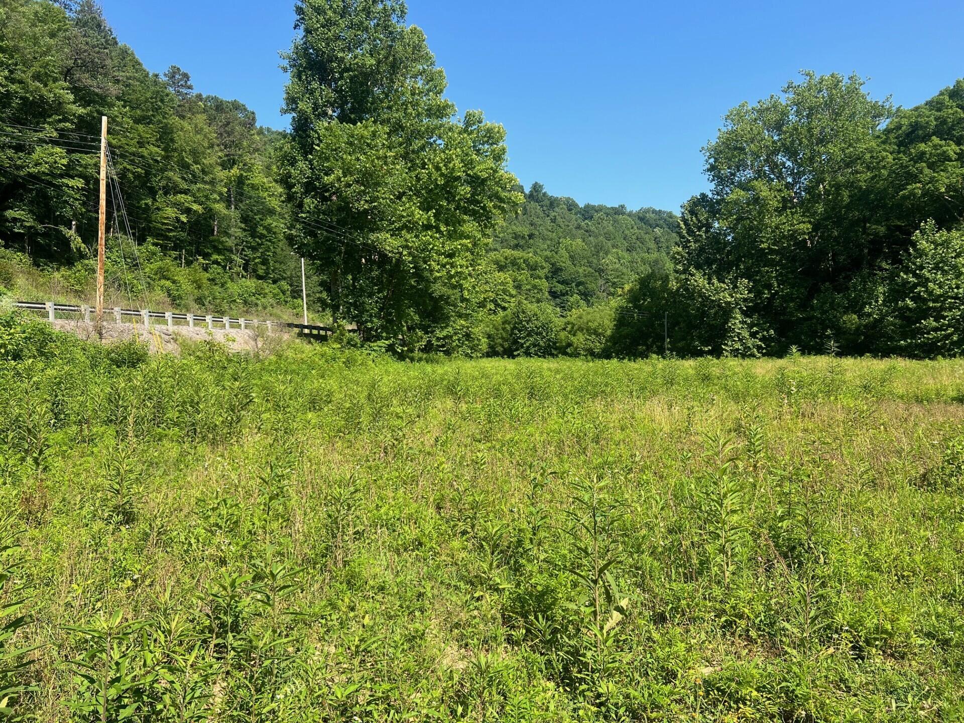 Image 4: thumbnail_IMG_9059