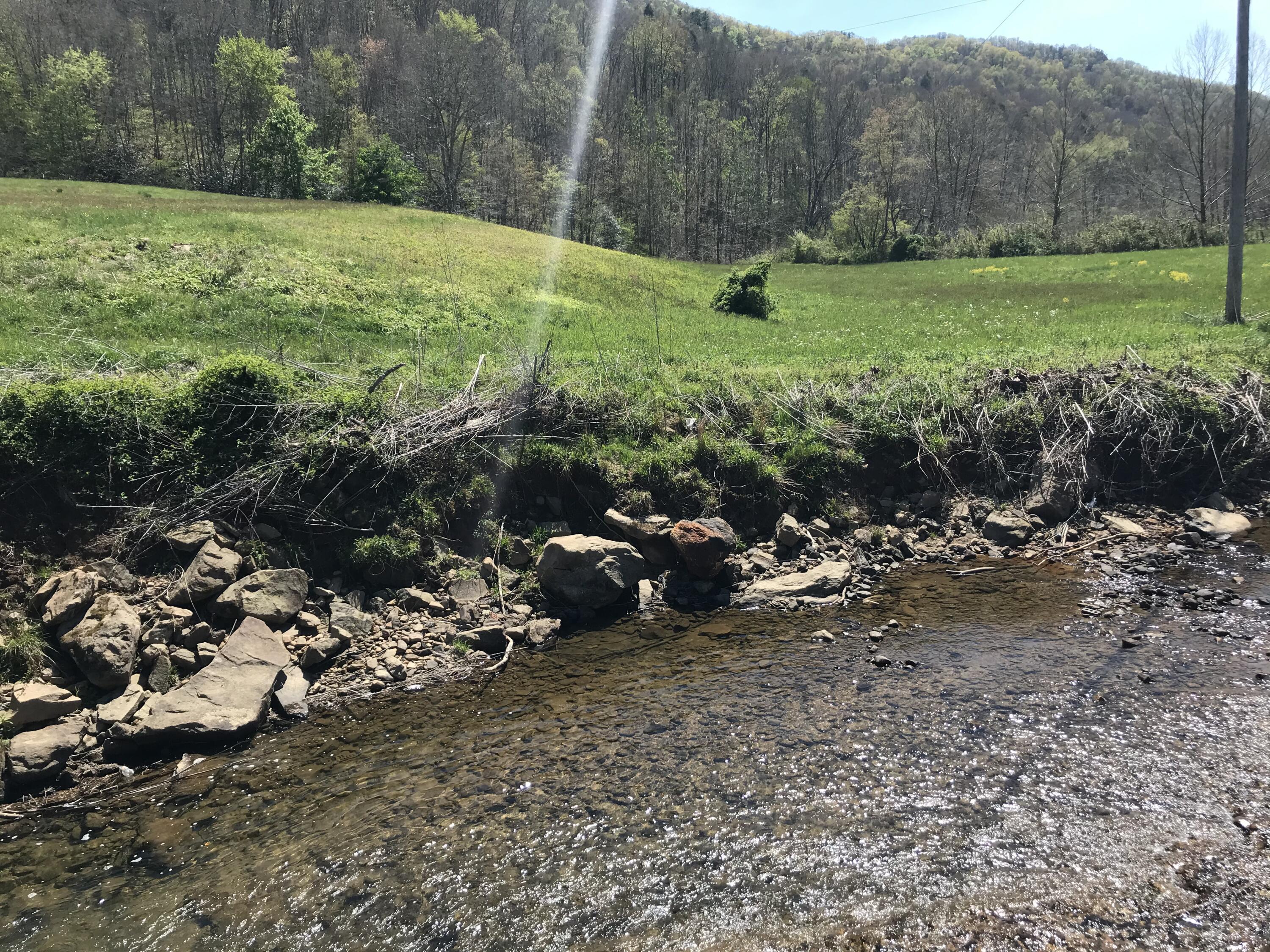 Image 2: IMG_2202