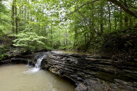 339 Cow Creek Road