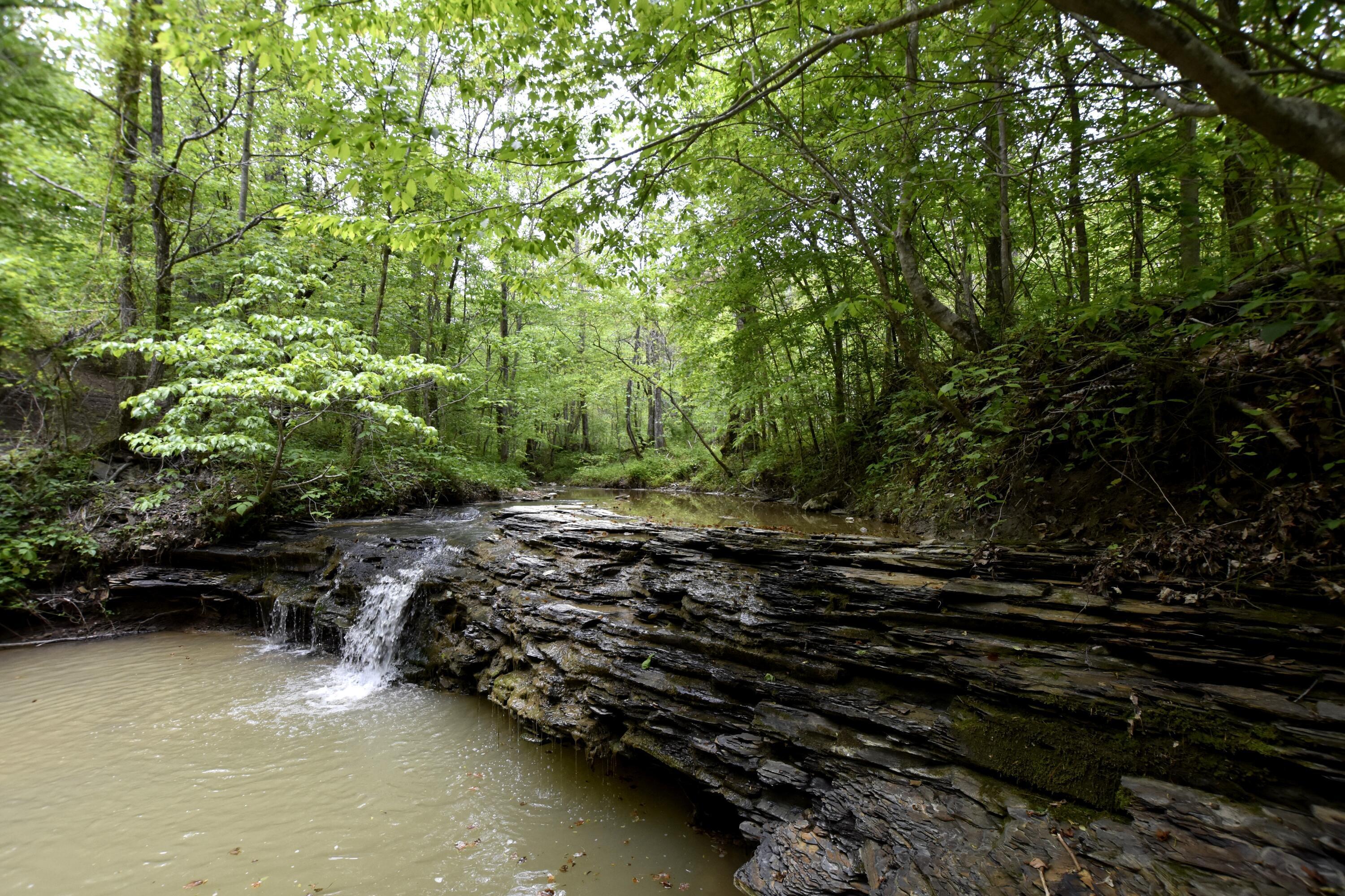 Image 1: Fresh mountain water!