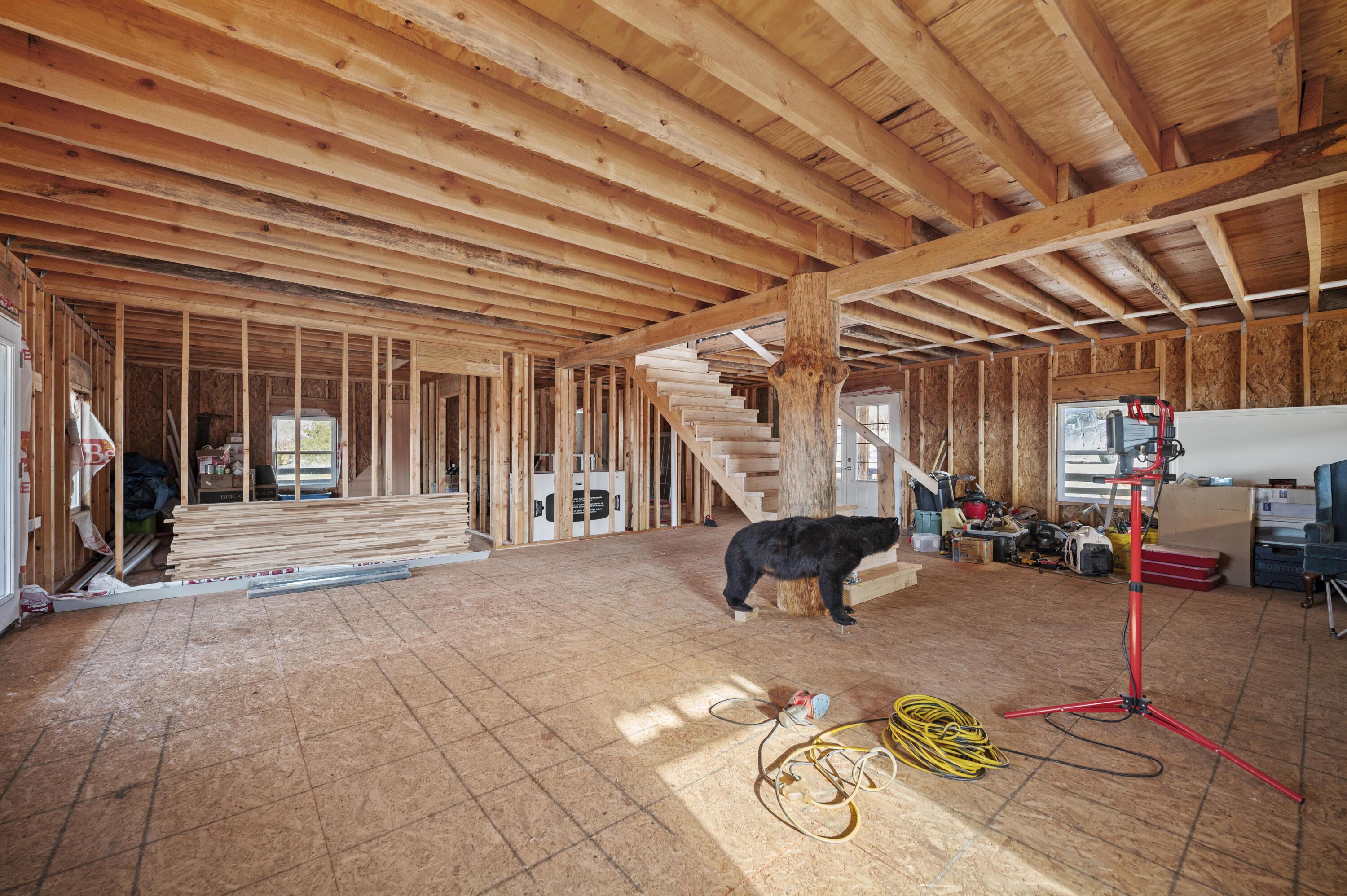 Image 4: 20251215-1237-Burton-Williams-Rd-fh-006