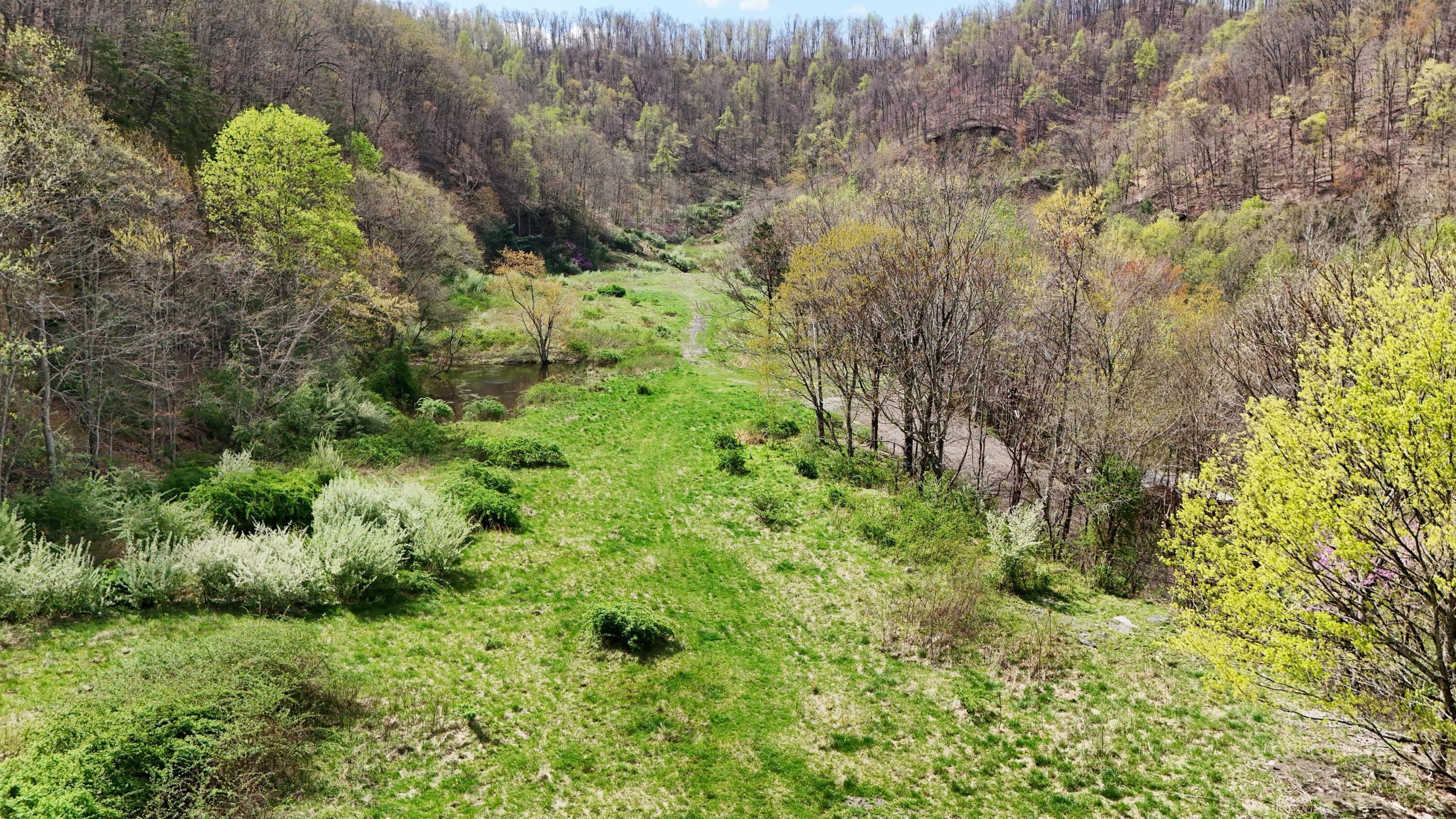 Image 2: Delmar Sgt 2