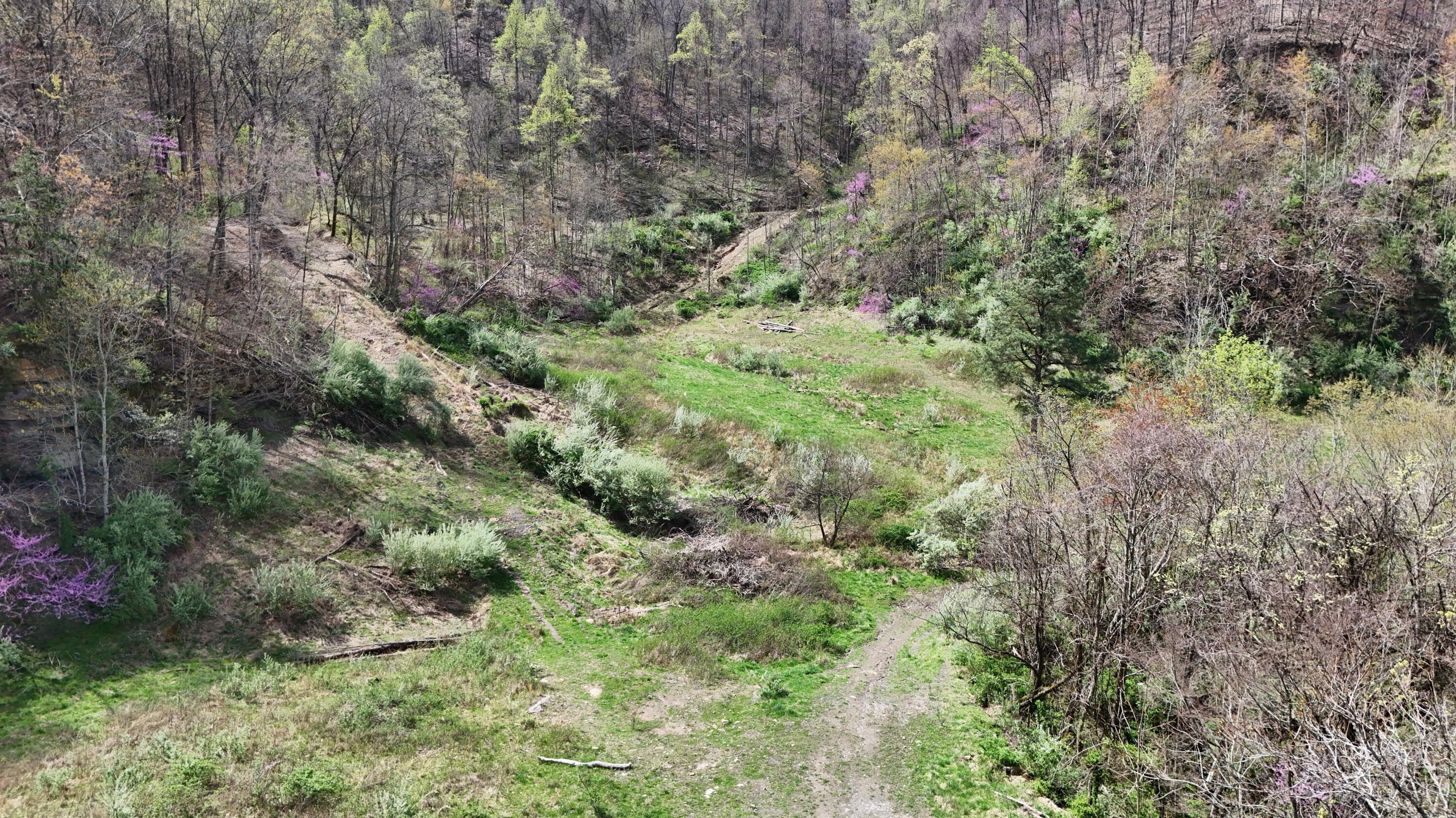 Image 3: Delmar Sgt 3