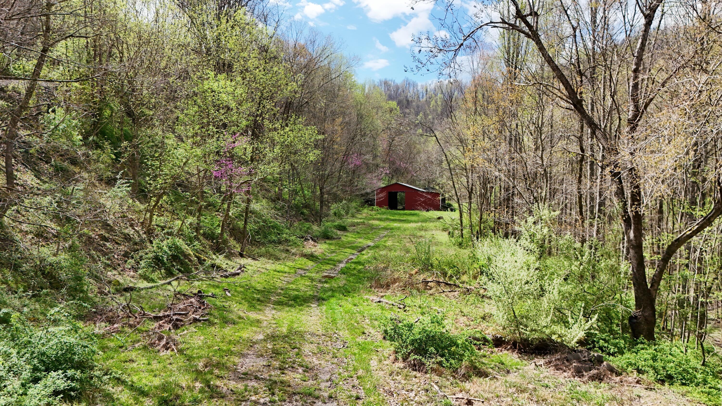 Image 4: Delmar Sgt 4