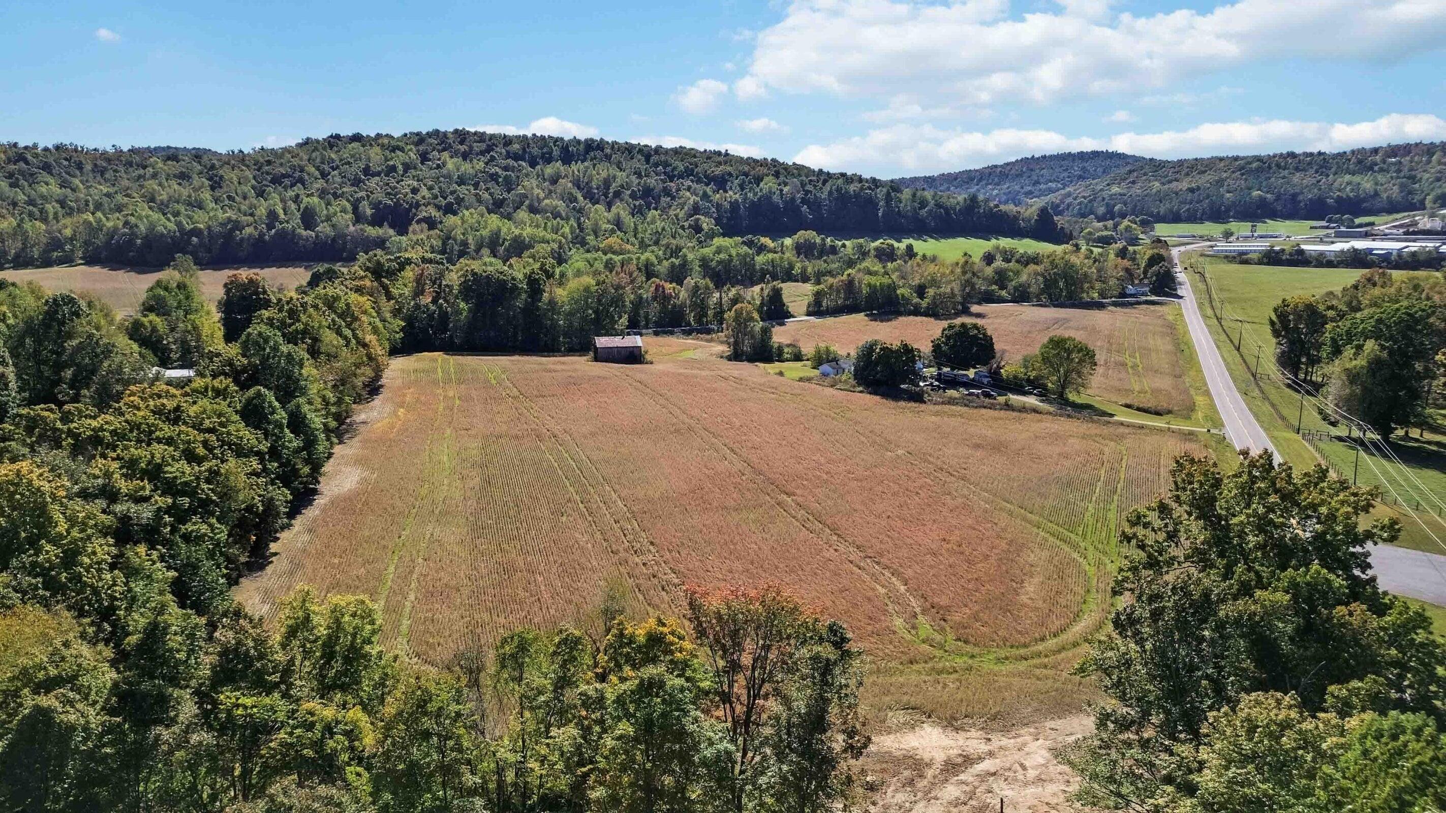 Image 3: 20241019153417935829000000-o