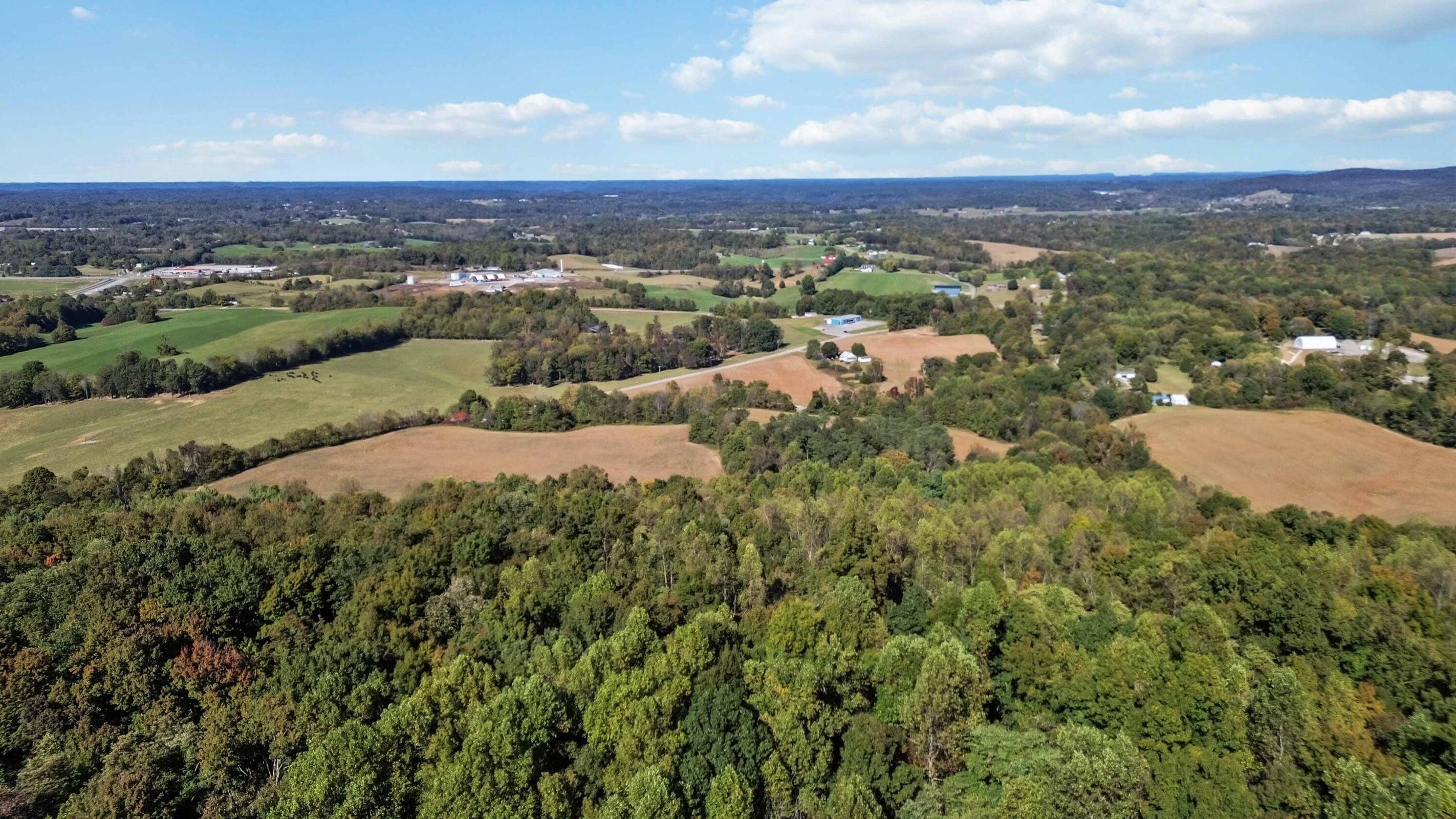 Image 4: 20241019153438153856000000-o