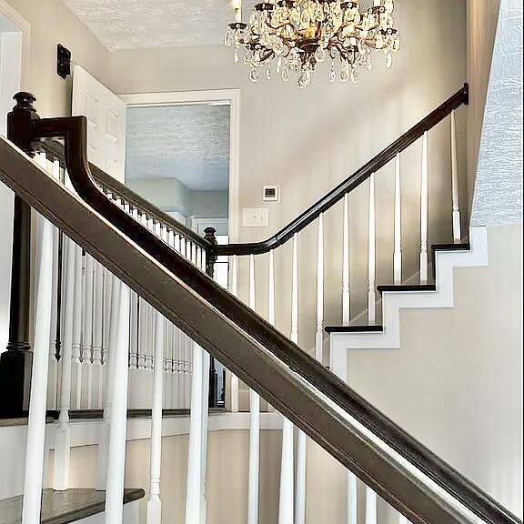 Image 4: F014B24B-91ED-4083-89C1-E52654F664A0