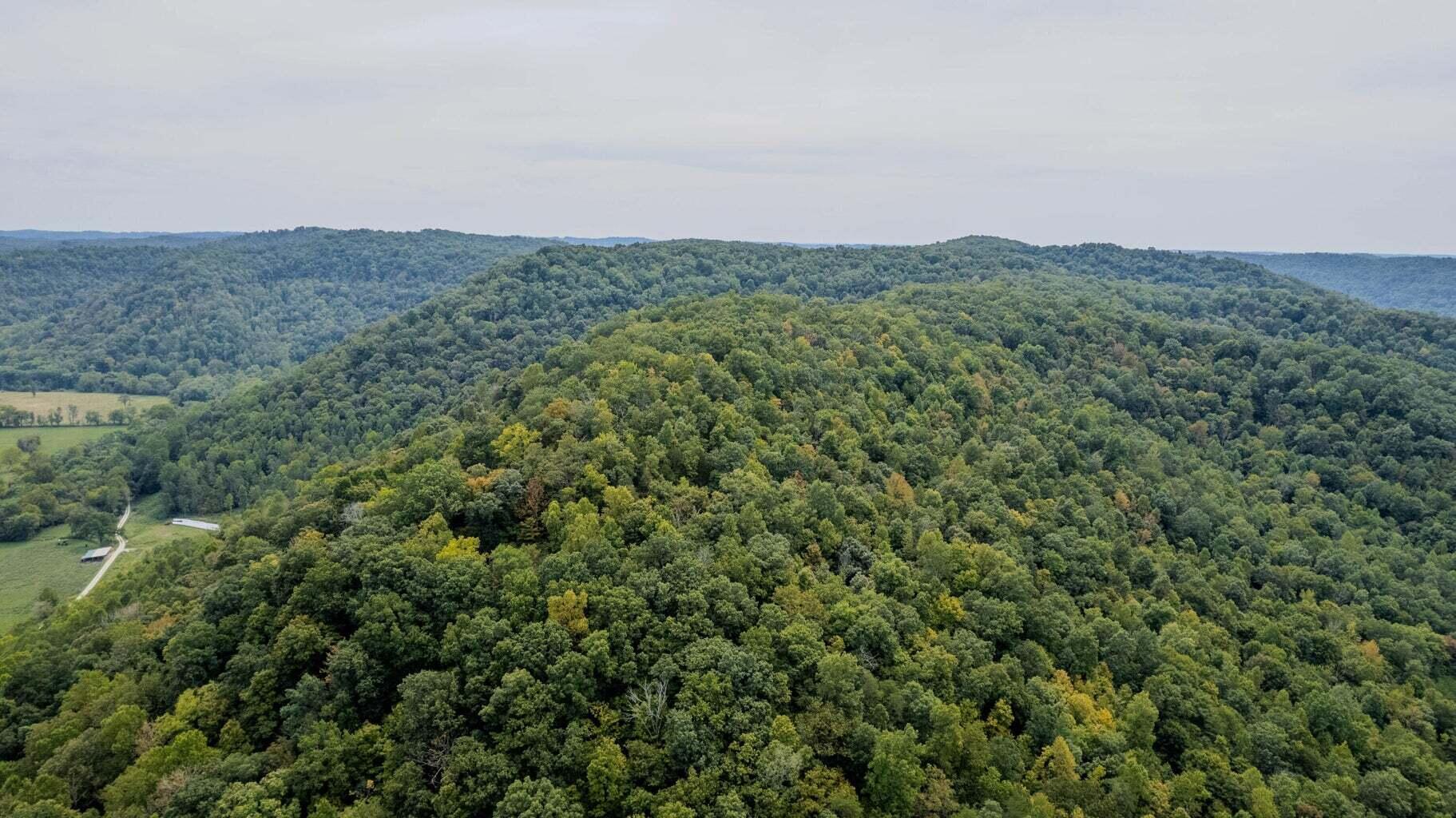 Image 4: 20240920183337199014000000-o (1)