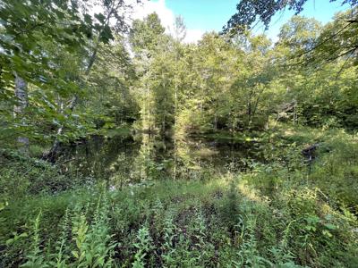 1208 Huckleberry Fork Road