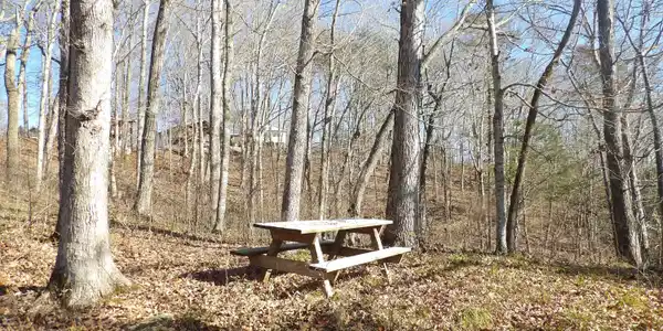 Lots Beaver Lodge Subdivision