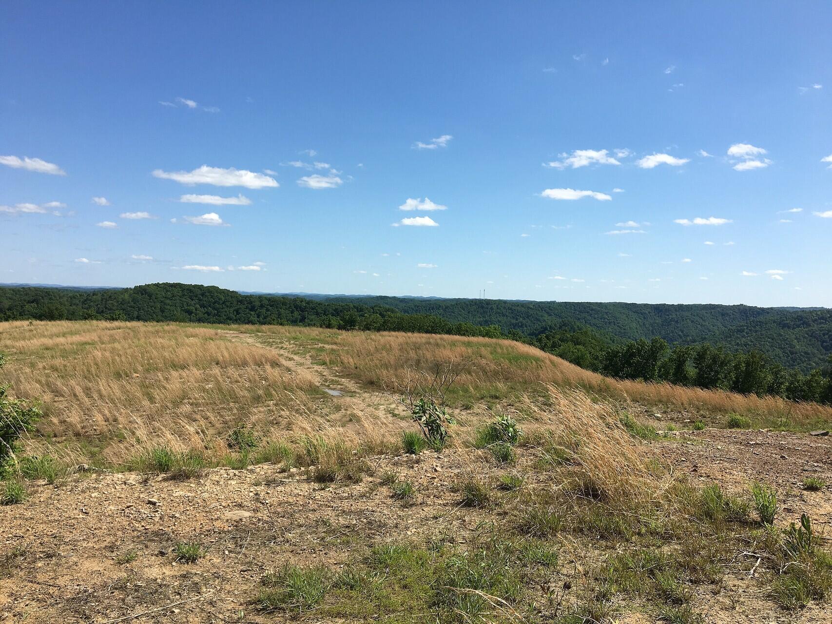 Image 4: Meridith property pic 4