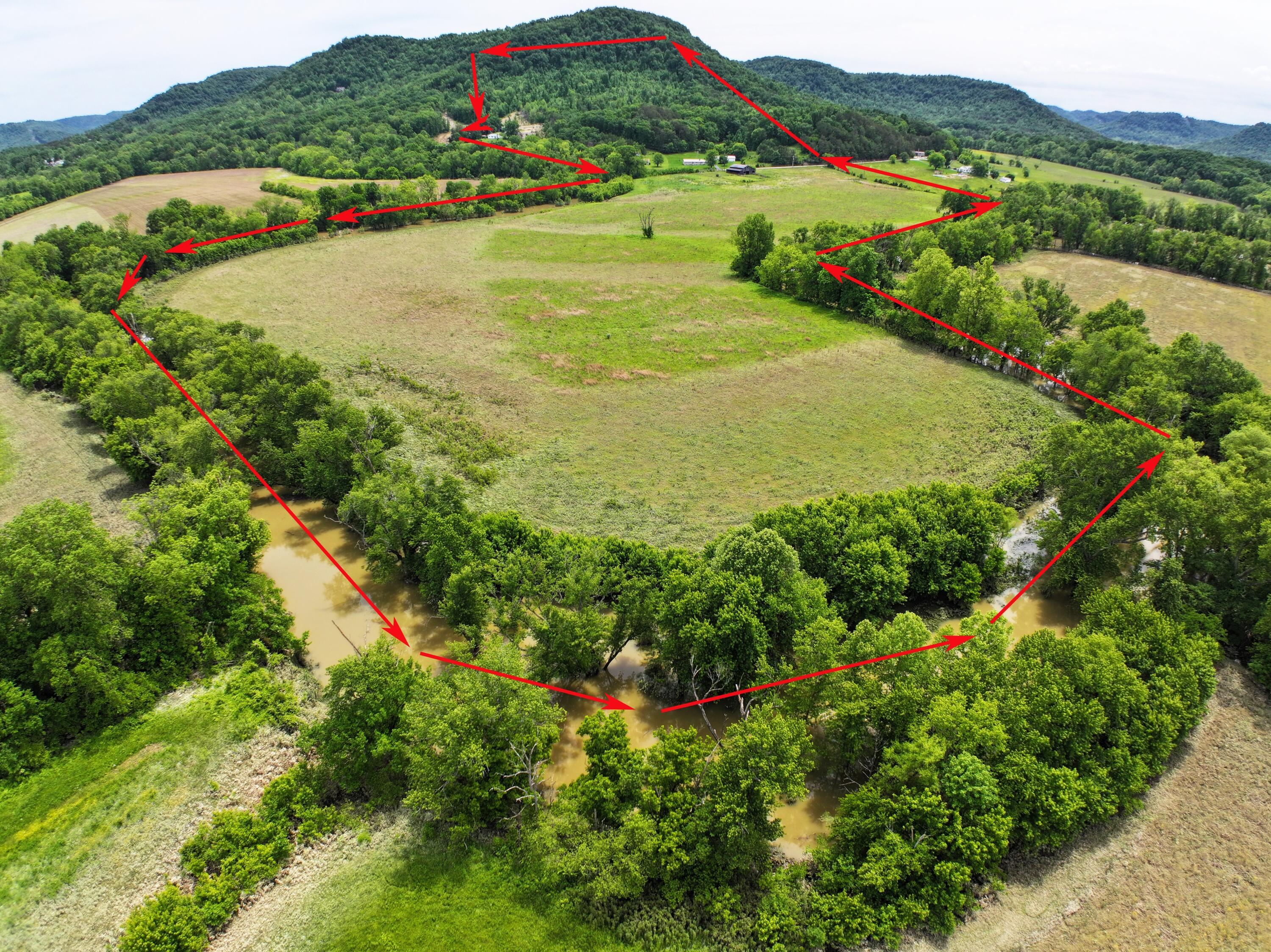 Image 4: 115 KY mountain acres!