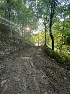 284 Blaines Branch Road