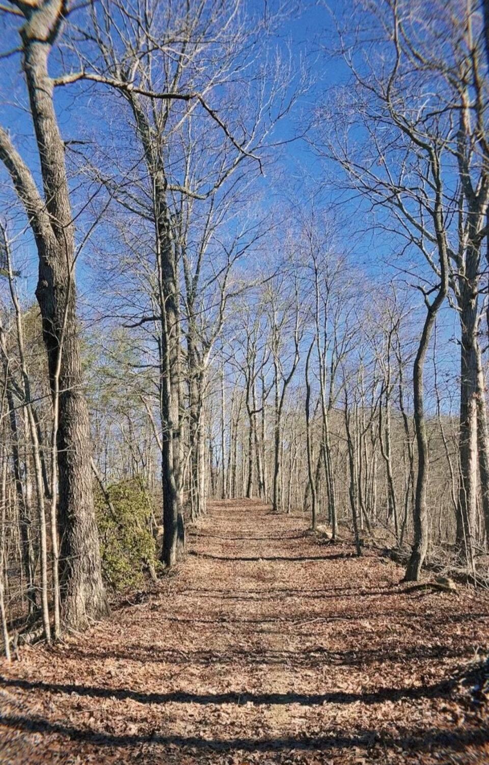 Image 3: Screenshot_20250714-161041~2