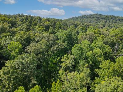 LOT 25 Hunter Lane