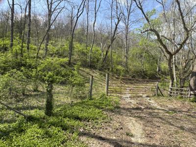 0000 Tates Creek Road