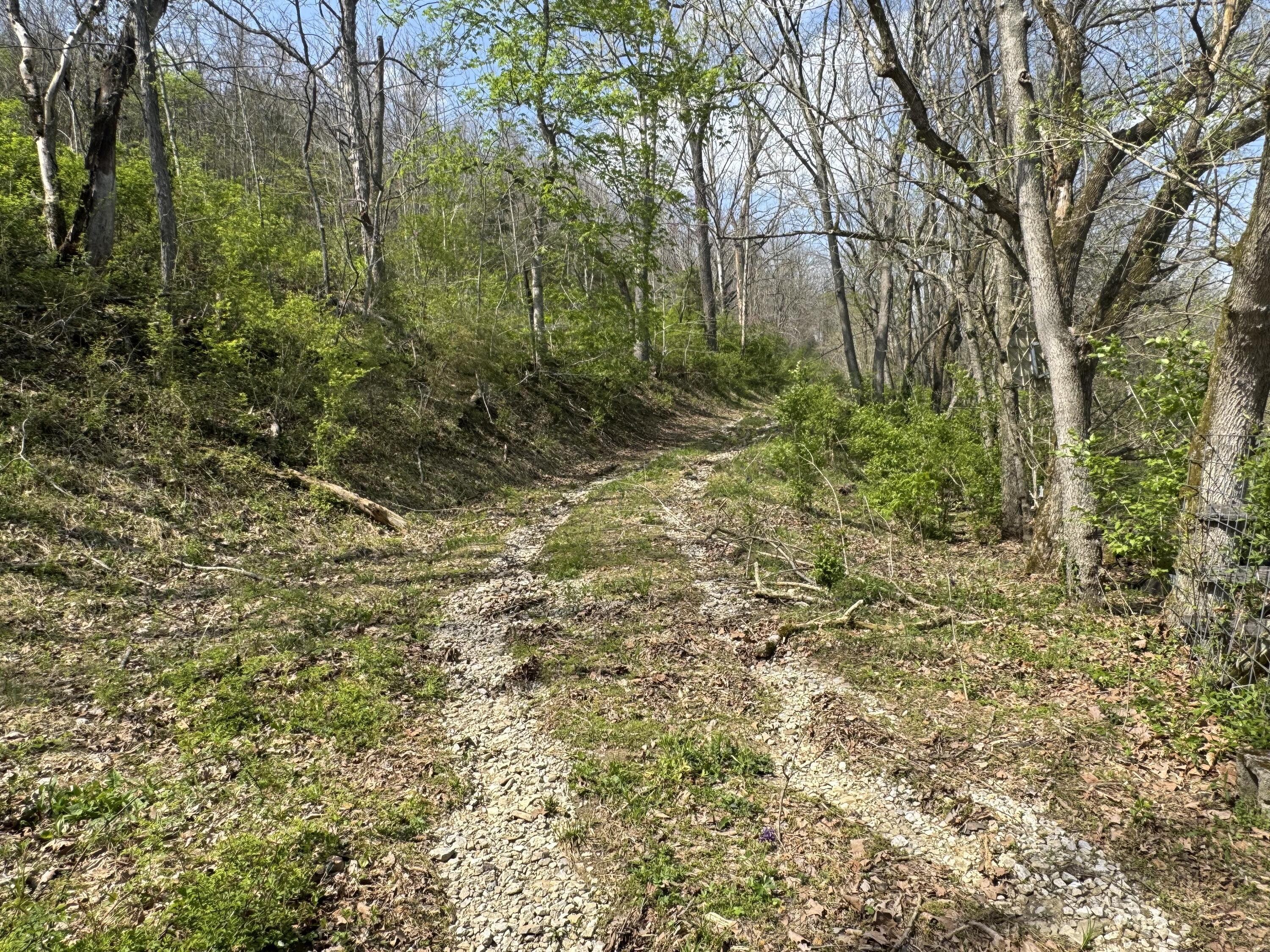 Image 2: IMG_5401