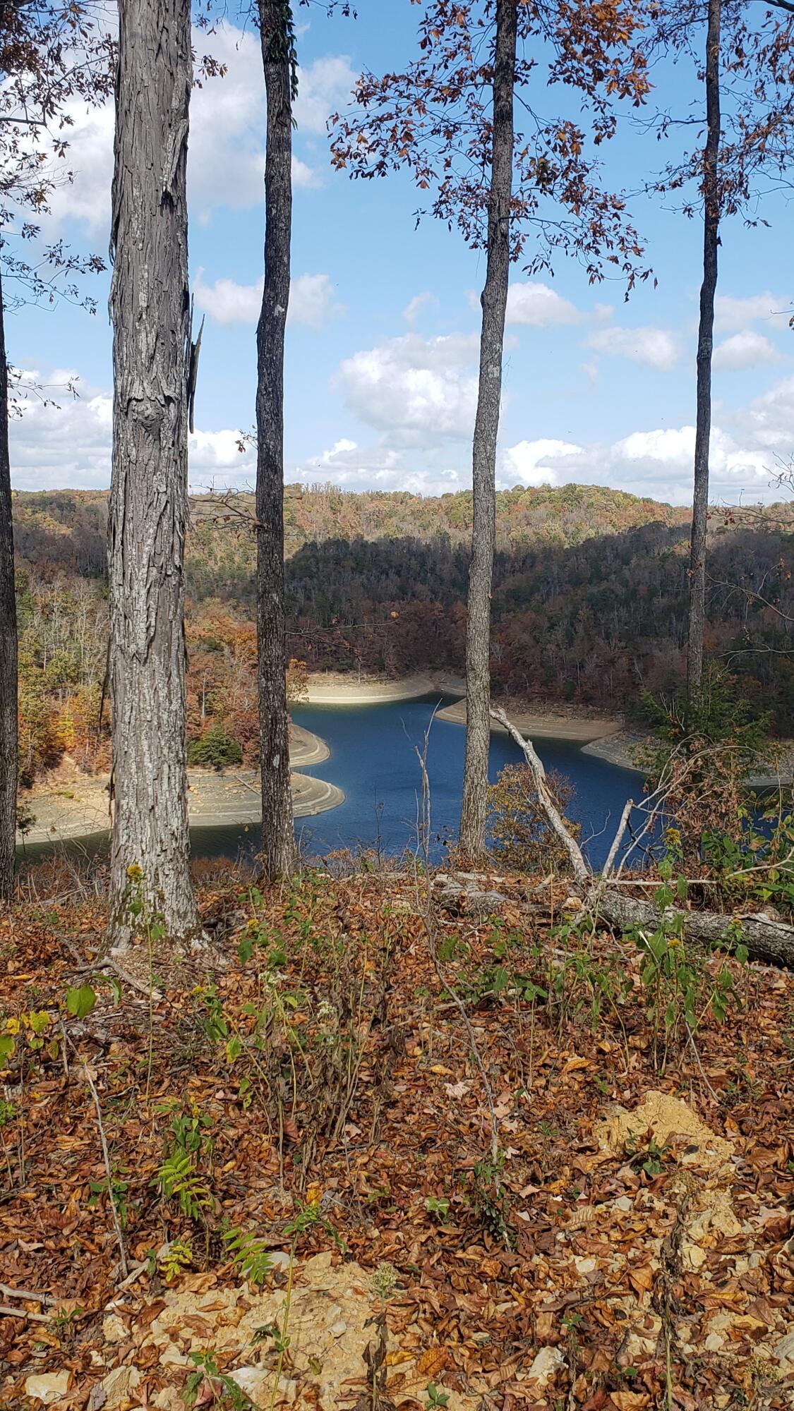 Image 3: 6