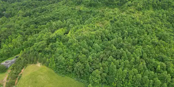 Image 3: DJI_0020