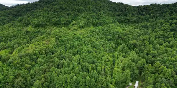 Image 4: DJI_0024