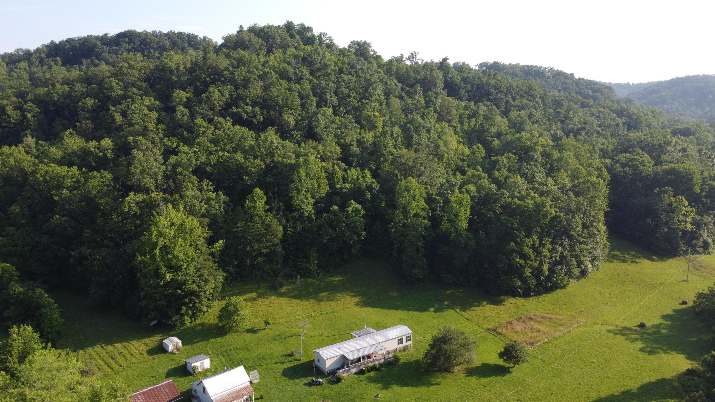 Image 4: DJI_0884