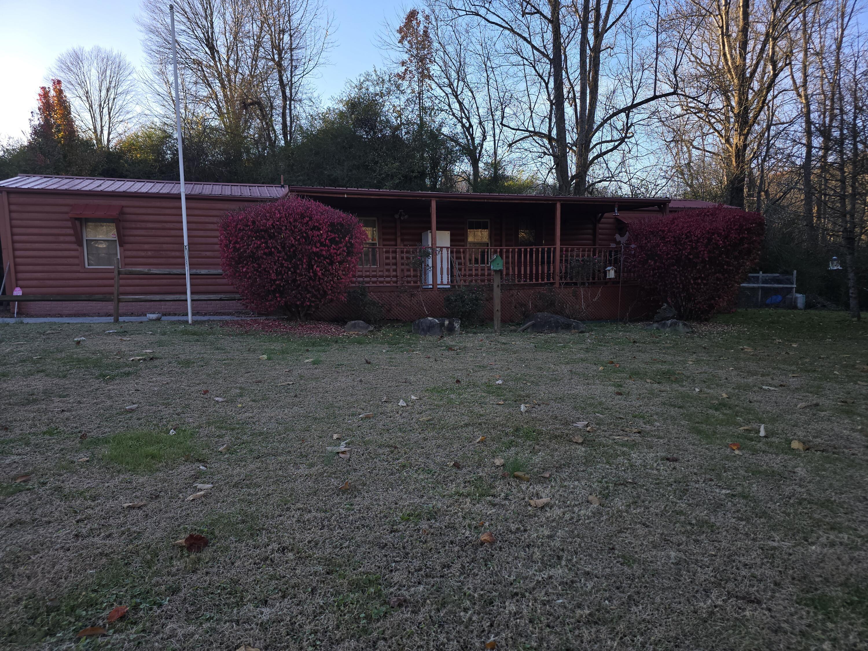 Image 2: 20251111_163052