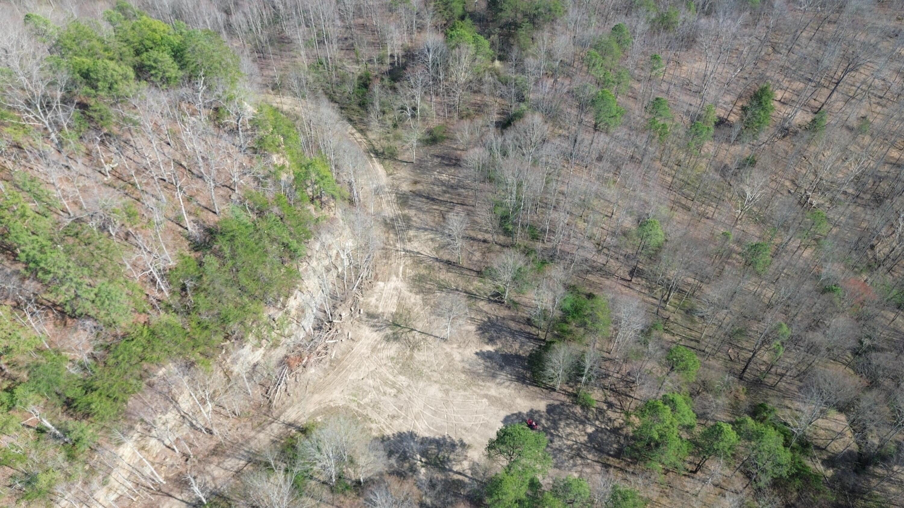 Image 3: Rock Wall over looking food plot area