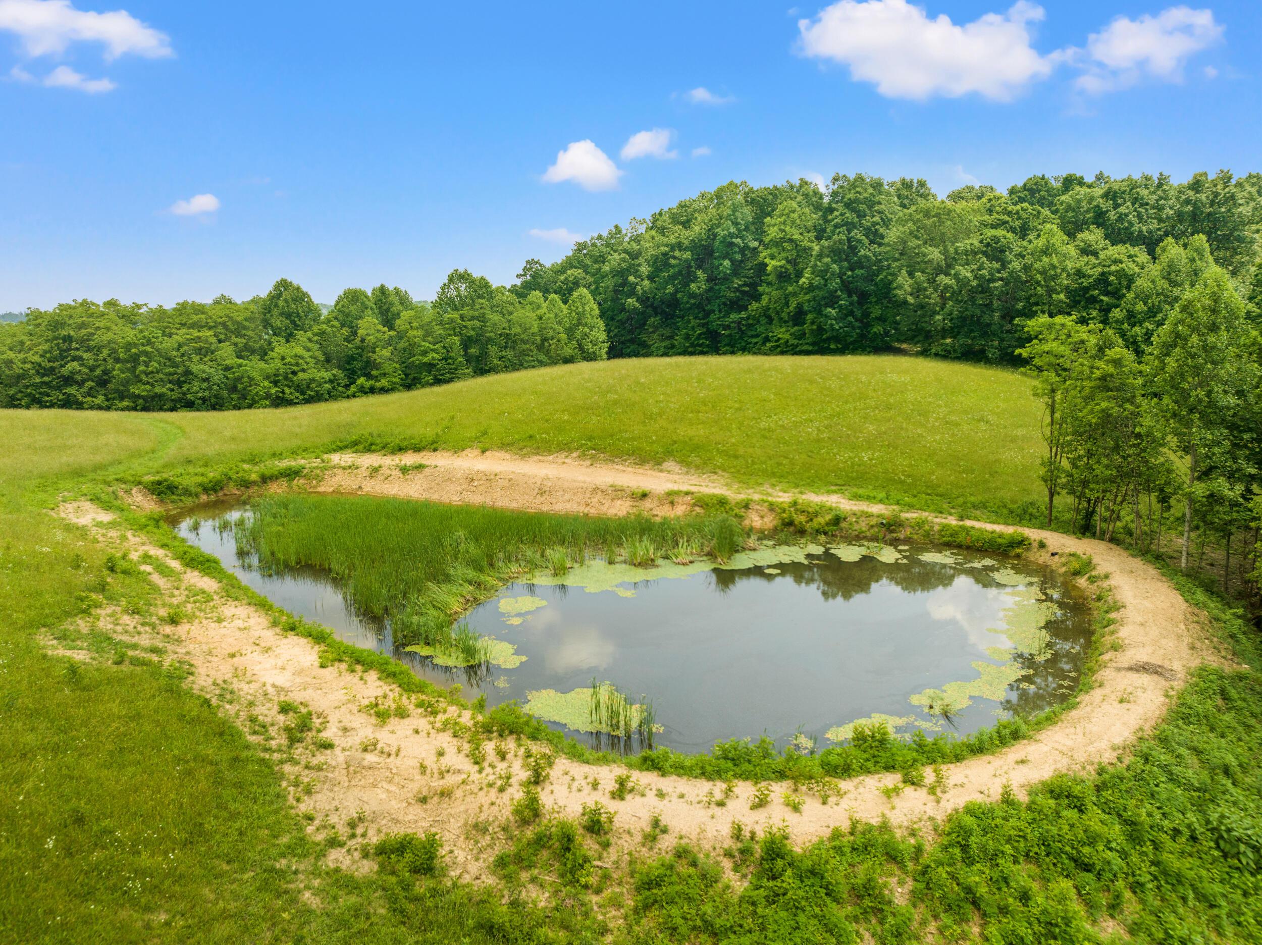 Image 2: dji_0620