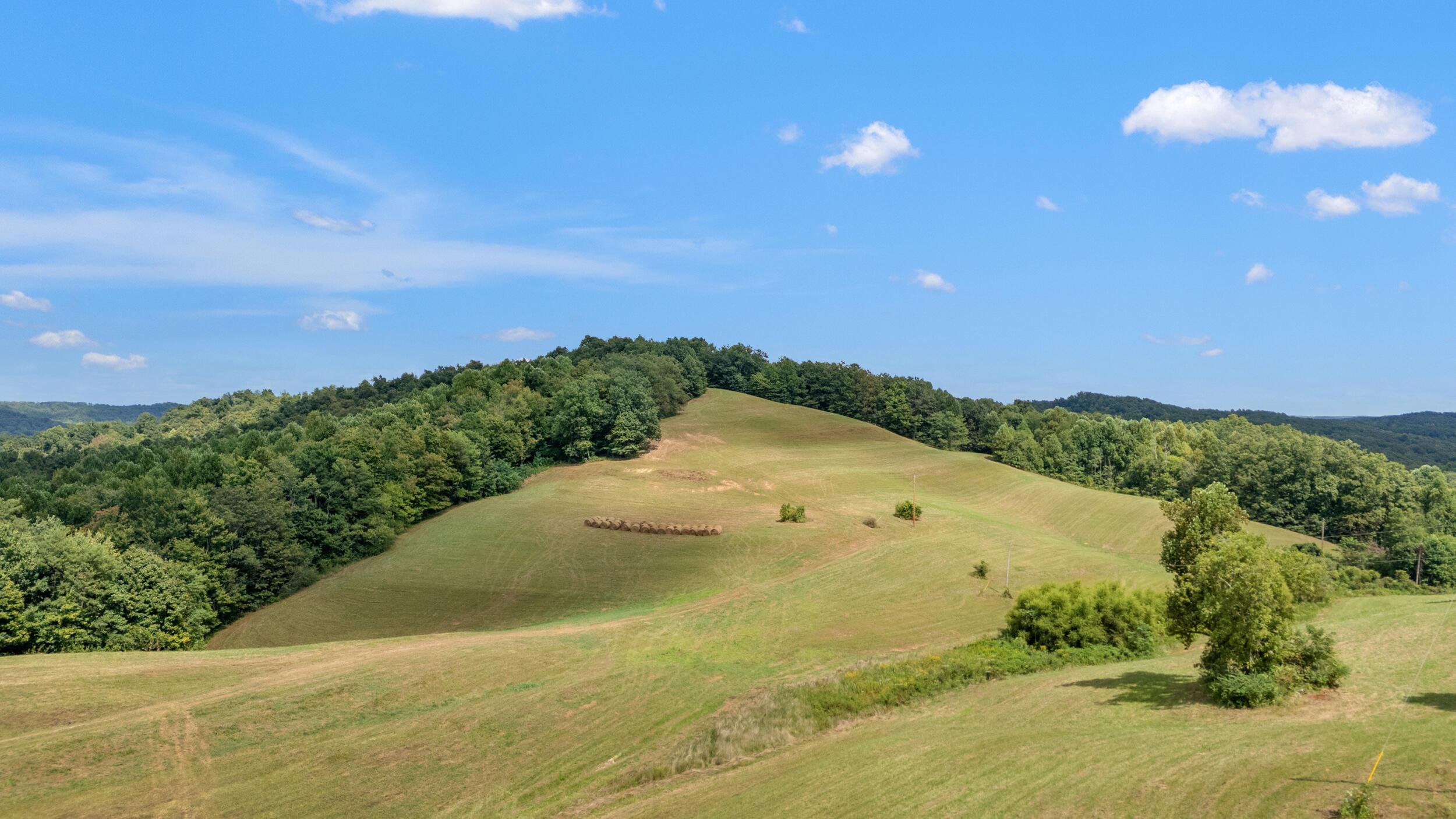 Image 3: 10_dji_20250826114731_0022_d