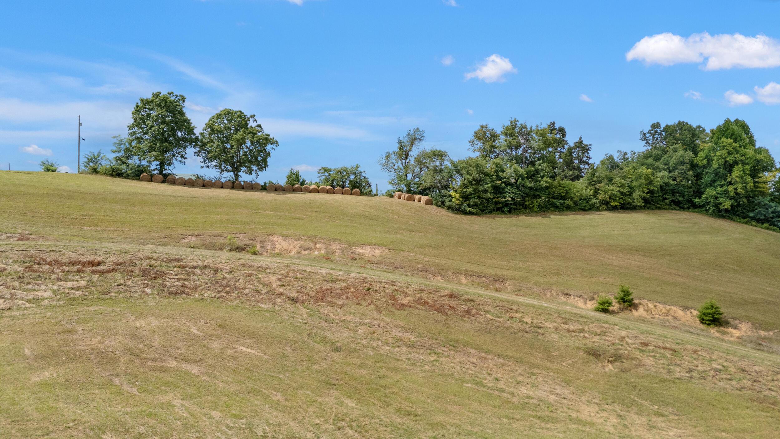 Image 4: 12_dji_20250826114742_0028_d